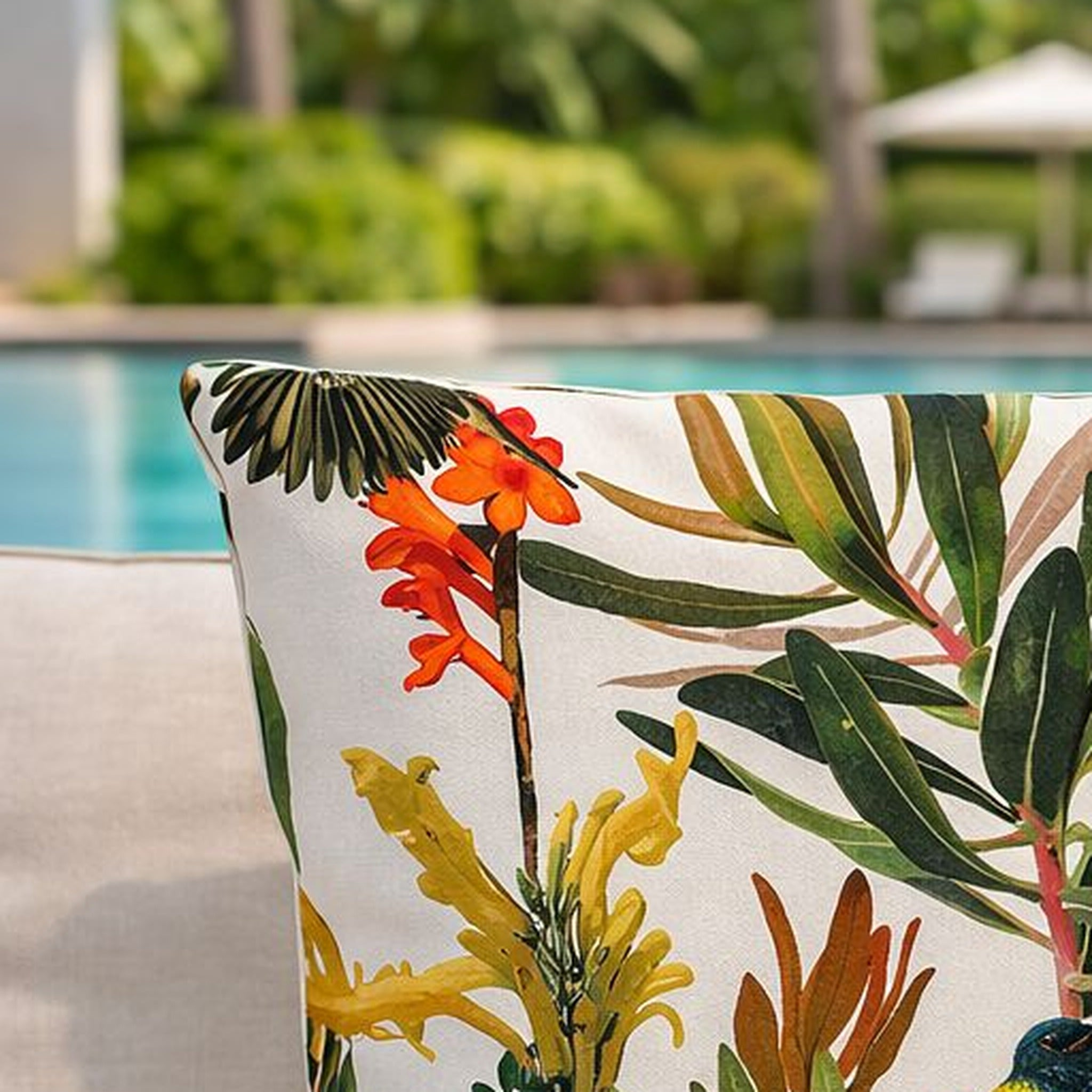 Protea Sunbird Cushion — original